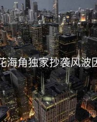 国产探花海角独家抄袭风波因果梳理