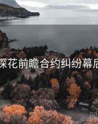 国产探花前瞻合约纠纷幕后真相