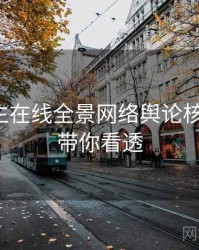 兔子先生在线全景网络舆论核心看点，带你看透