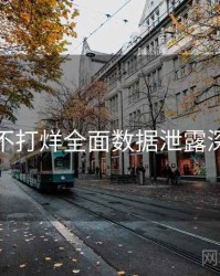 黑料不打烊全面数据泄露深解析