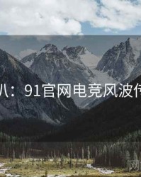 独家深扒：91官网电竞风波传播路径