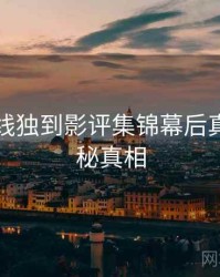 欧美在线独到影评集锦幕后真相，揭秘真相