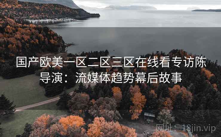 国产欧美一区二区三区在线看专访陈导演：流媒体趋势幕后故事
