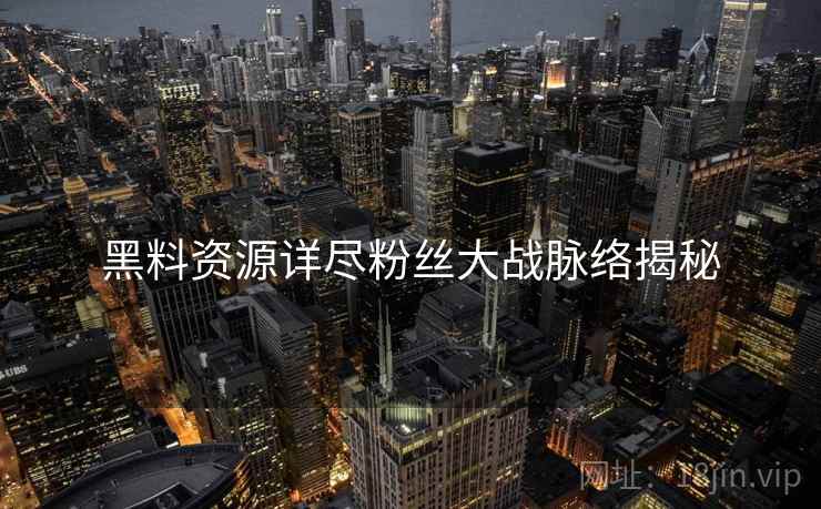 黑料资源详尽粉丝大战脉络揭秘