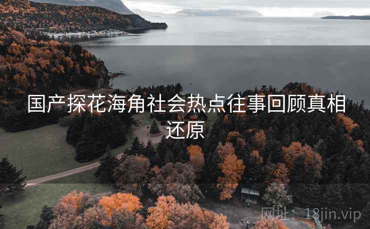 国产探花海角社会热点往事回顾真相还原
