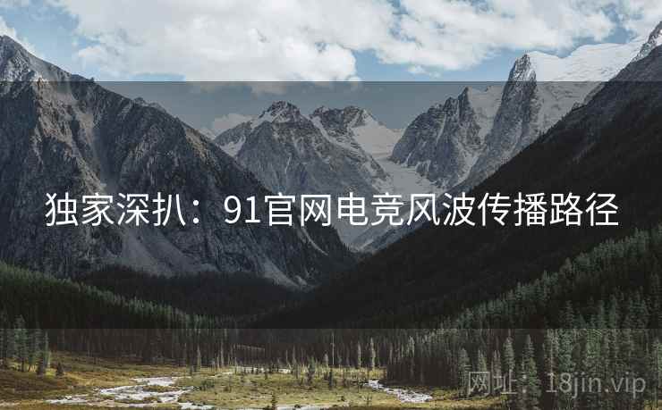 独家深扒：91官网电竞风波传播路径