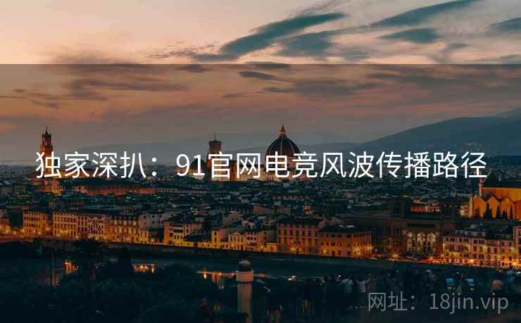独家深扒：91官网电竞风波传播路径