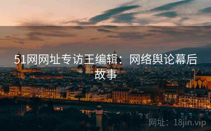 51网网址专访王编辑：网络舆论幕后故事