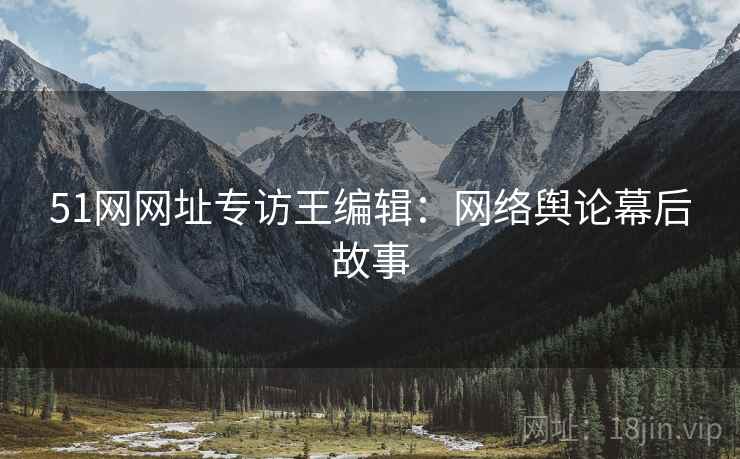 51网网址专访王编辑：网络舆论幕后故事