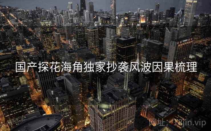 国产探花海角独家抄袭风波因果梳理