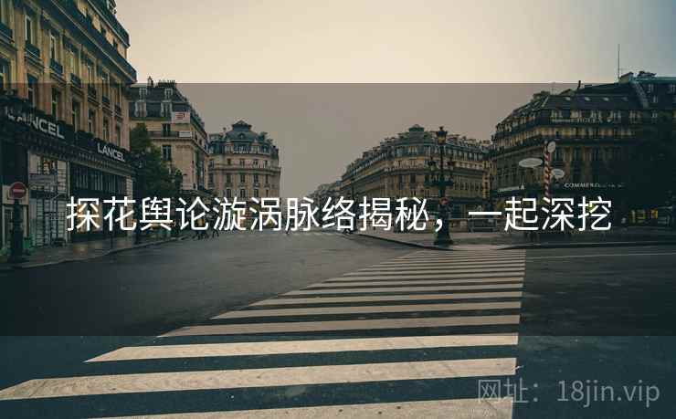 探花舆论漩涡脉络揭秘，一起深挖