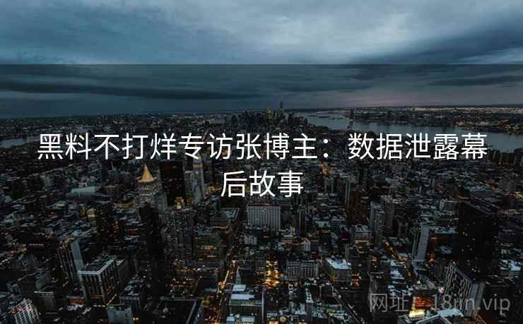 黑料不打烊专访张博主：数据泄露幕后故事