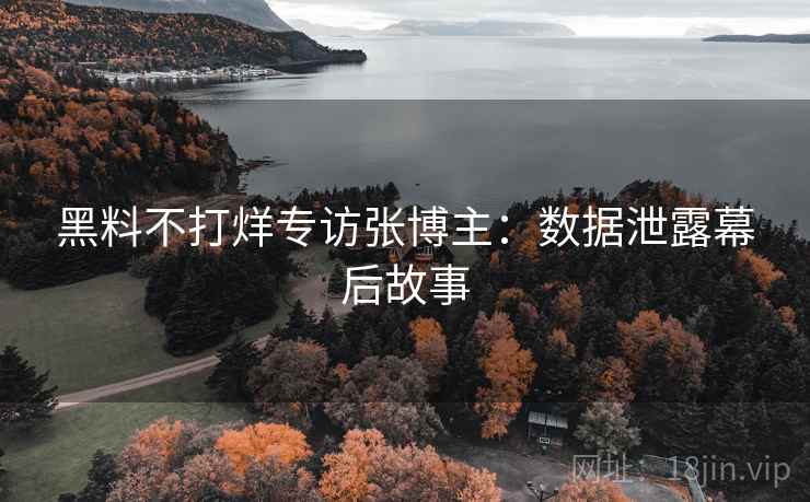 黑料不打烊专访张博主：数据泄露幕后故事