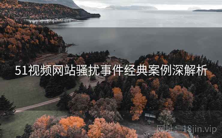 51视频网站骚扰事件经典案例深解析
