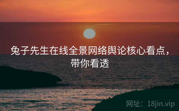兔子先生在线全景网络舆论核心看点，带你看透